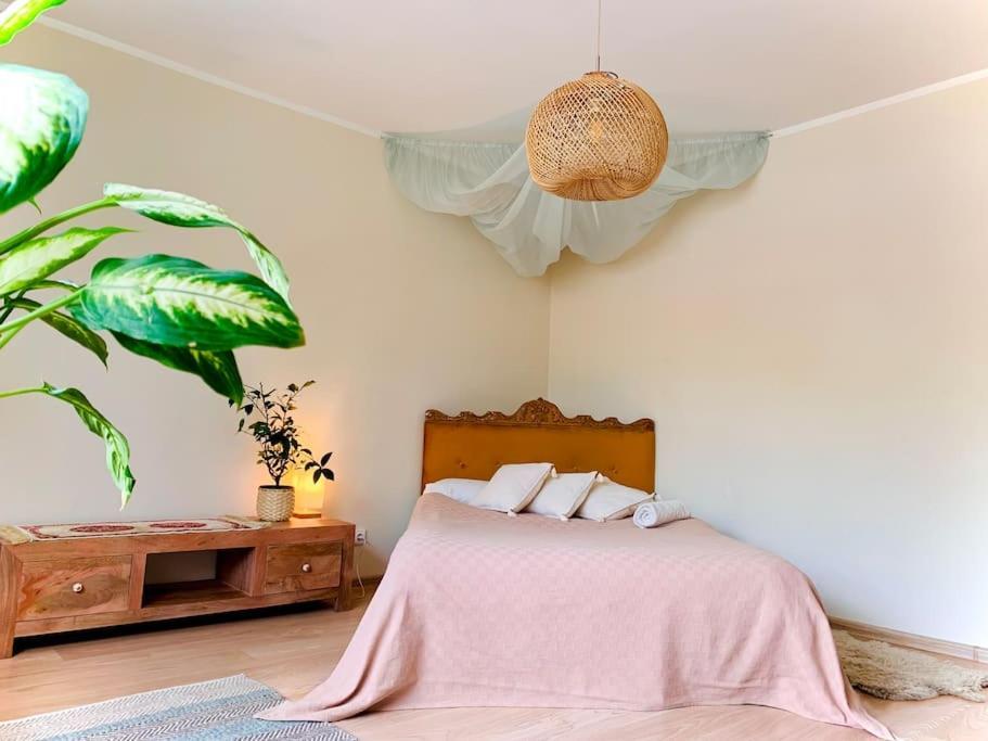 קובנה Three Bedroom With Two Terraces For 7People+Baby מראה חיצוני תמונה