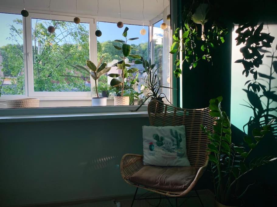 קובנה Three Bedroom With Two Terraces For 7People+Baby מראה חיצוני תמונה
